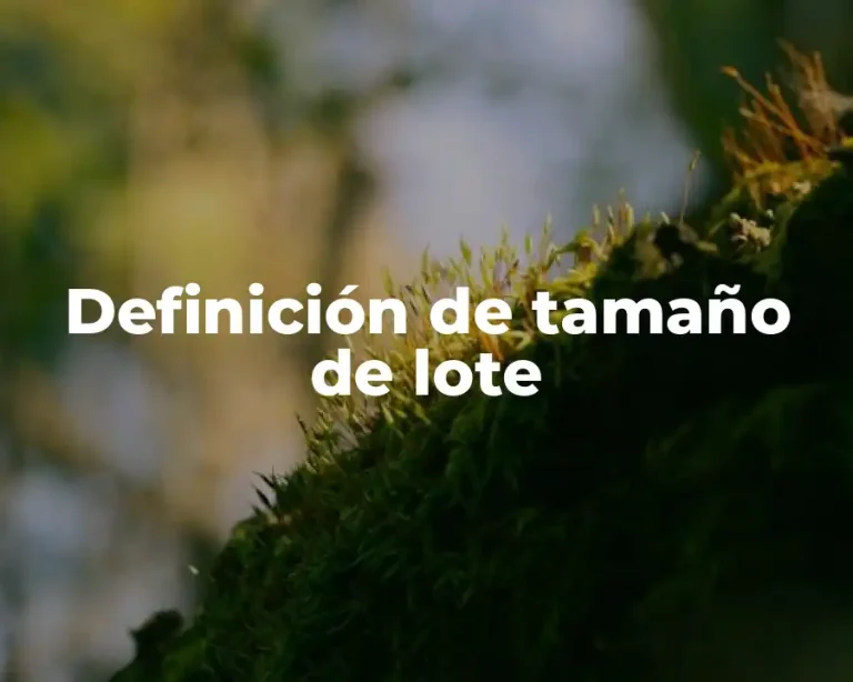 Definición de tamaño de lote
