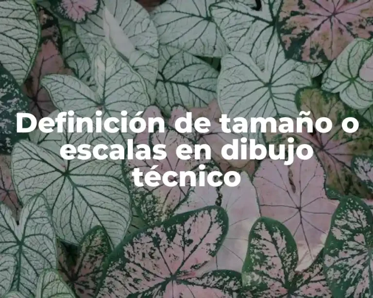 Definición de tamaño o escalas en dibujo técnico