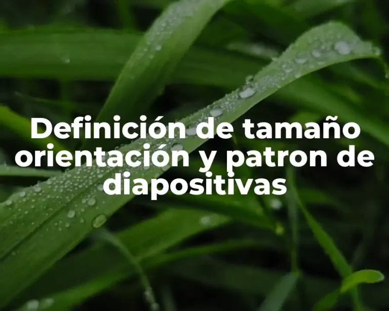 Definición de tamaño orientación y patron de diapositivas
