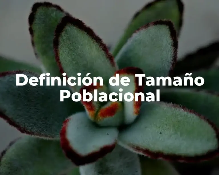 Definición de Tamaño Poblacional