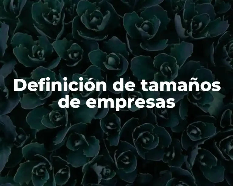 Definición de tamaños de empresas
