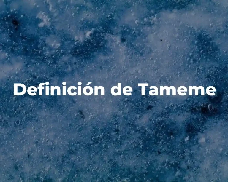 Definición de Tameme