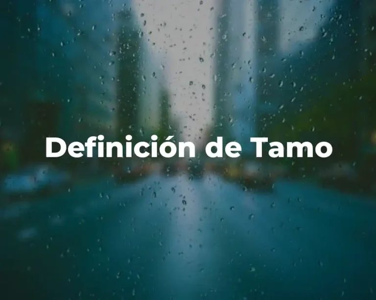 Definición de Tamo