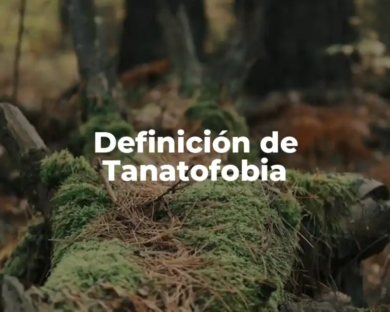Definición de Tanatofobia