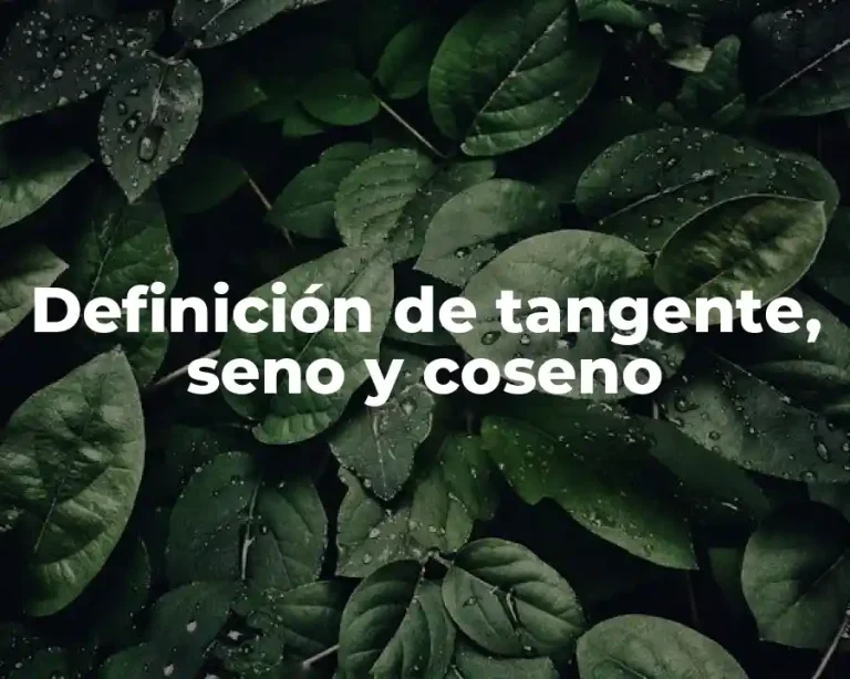 Definición de tangente, seno y coseno