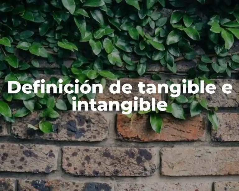 Definición de tangible e intangible