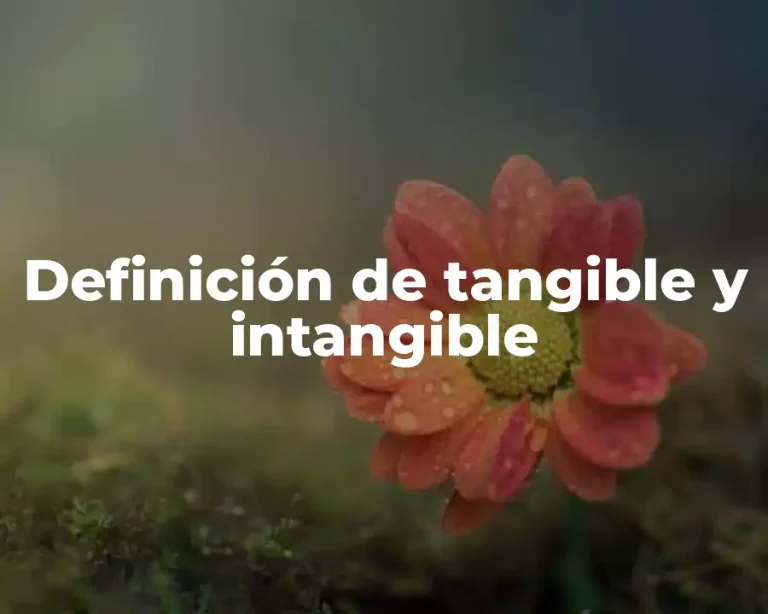 Definición de tangible y intangible
