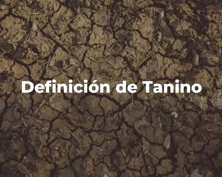 Definición de Tanino