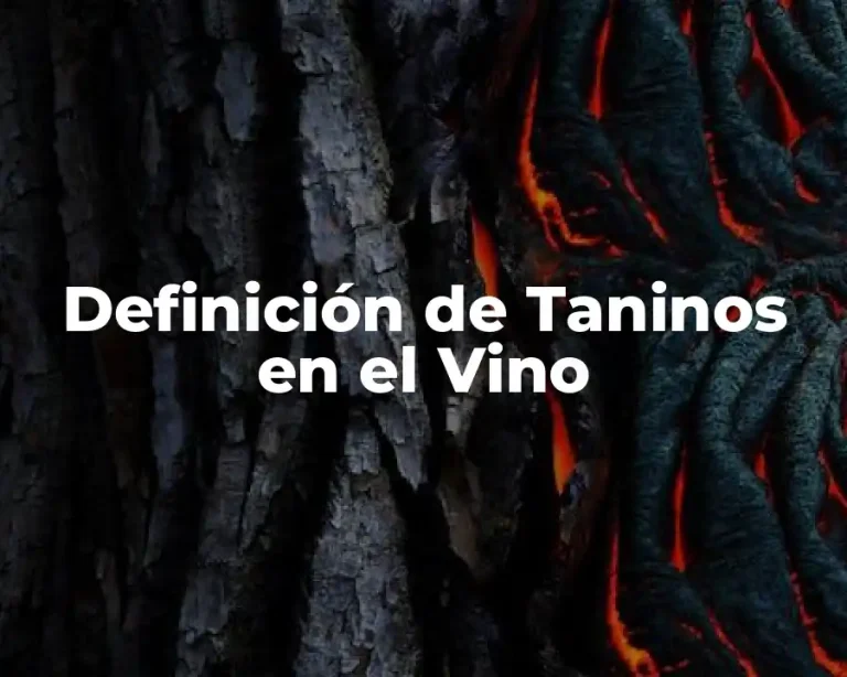 Definición de Taninos en el Vino