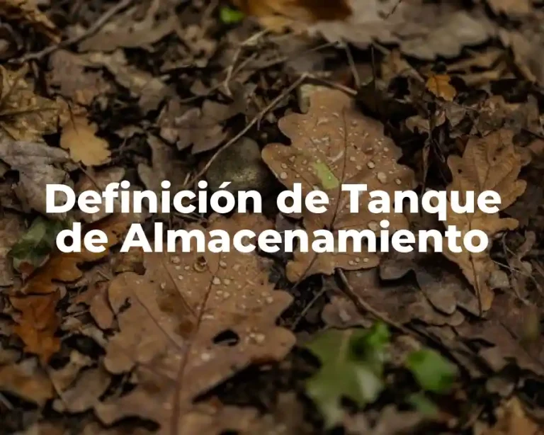 Definición de Tanque de Almacenamiento