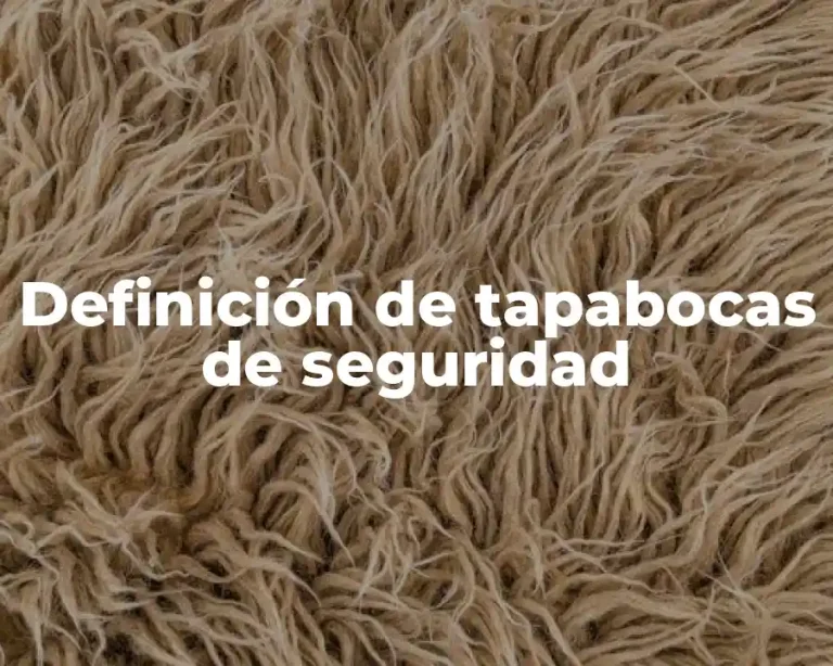 Definición de tapabocas de seguridad