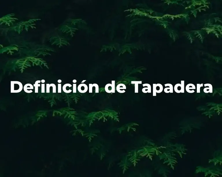 Definición de Tapadera