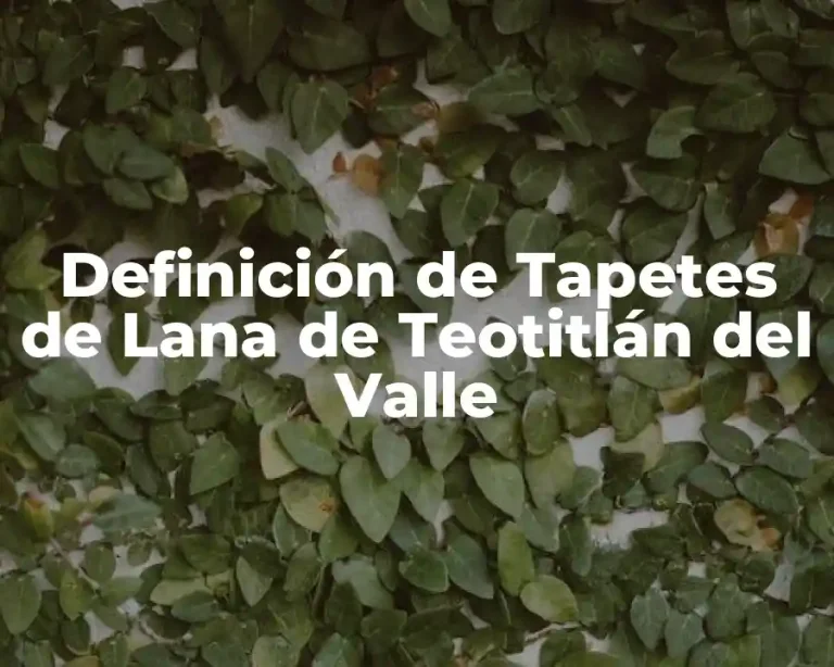 Definición de Tapetes de Lana de Teotitlán del Valle