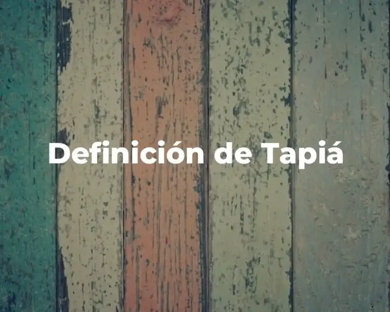 Definición de Tapiá