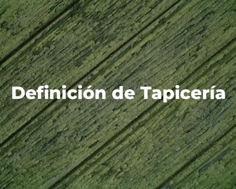 Definición de Tapicería