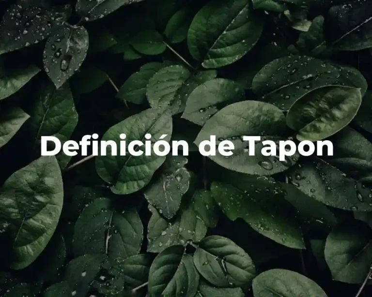 Definición de Tapon