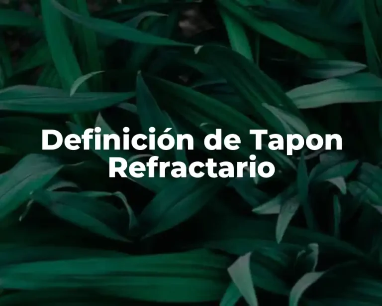 Definición de Tapon Refractario