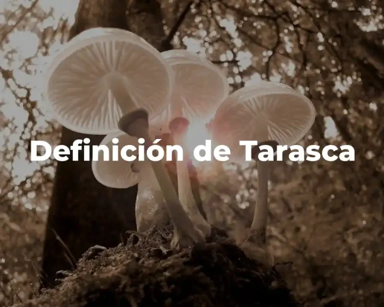 Definición de Tarasca