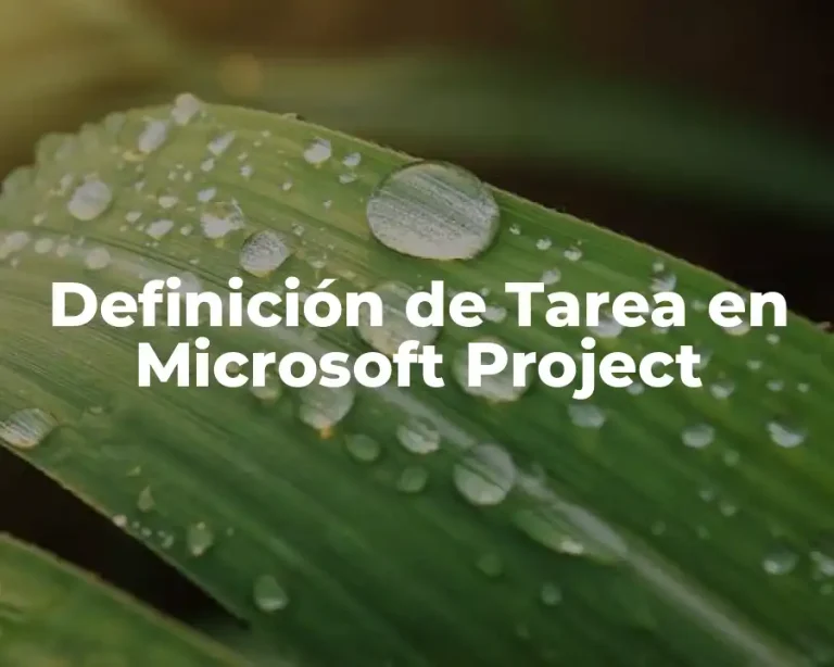 Definición de Tarea en Microsoft Project