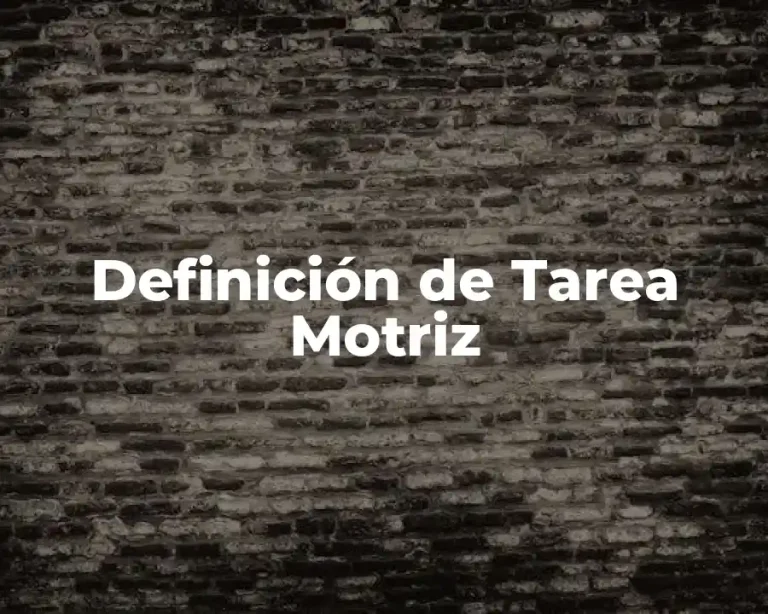 Definición de Tarea Motriz