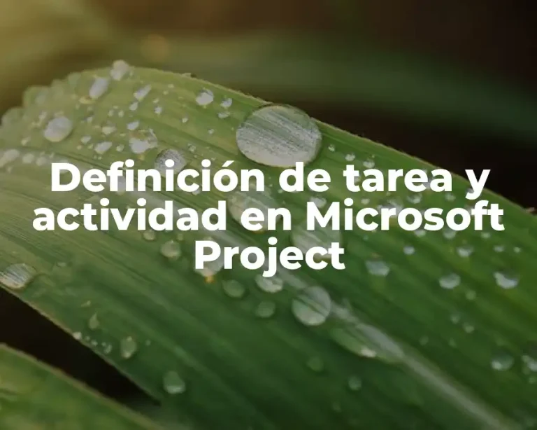 Definición de tarea y actividad en Microsoft Project