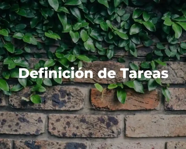 Definición de Tareas