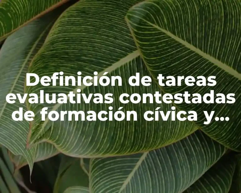 Definición de tareas evaluativas contestadas de formación cívica y ética