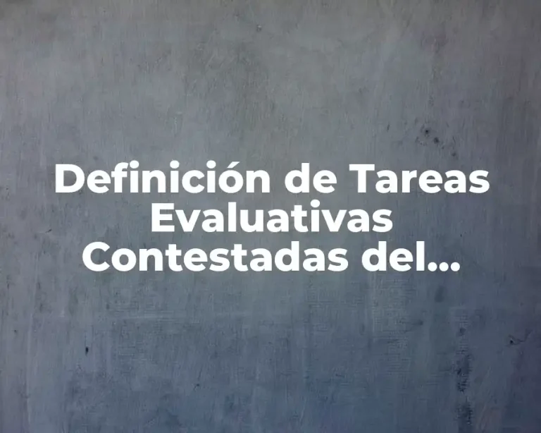 Definición de Tareas Evaluativas Contestadas del Proyecto de Gestión Director