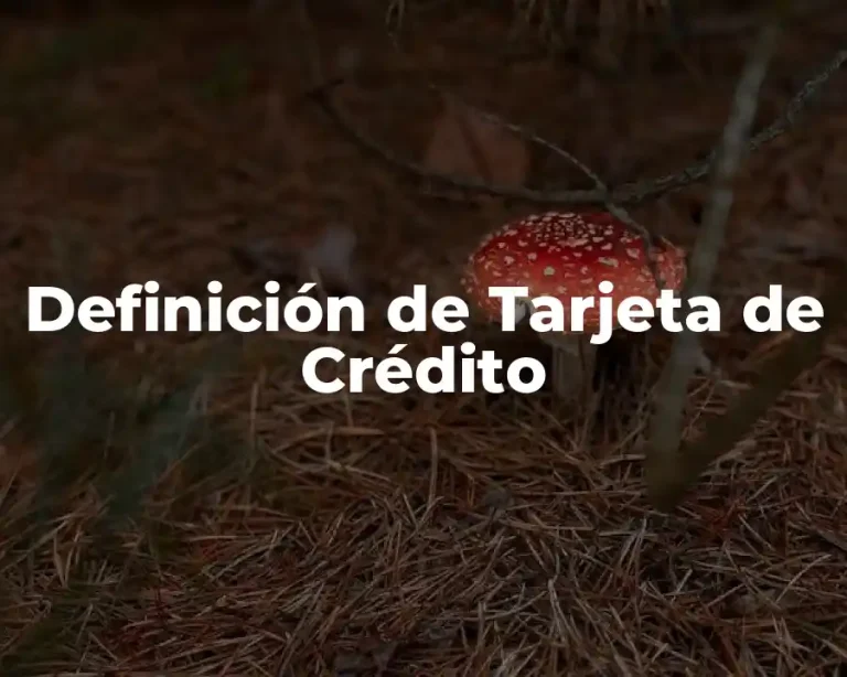 Definición de Tarjeta de Crédito
