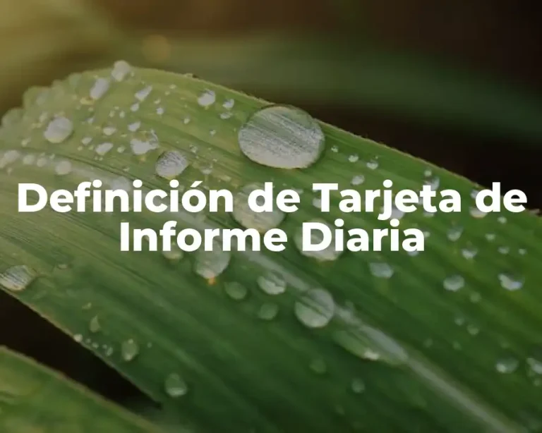 Definición de Tarjeta de Informe Diaria