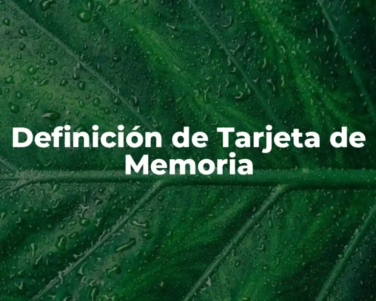 Definición de Tarjeta de Memoria