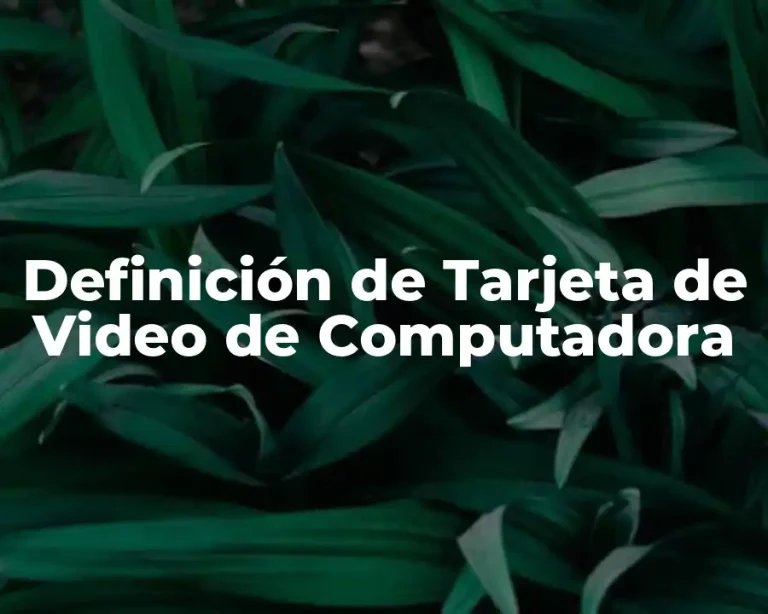 Definición de Tarjeta de Video de Computadora
