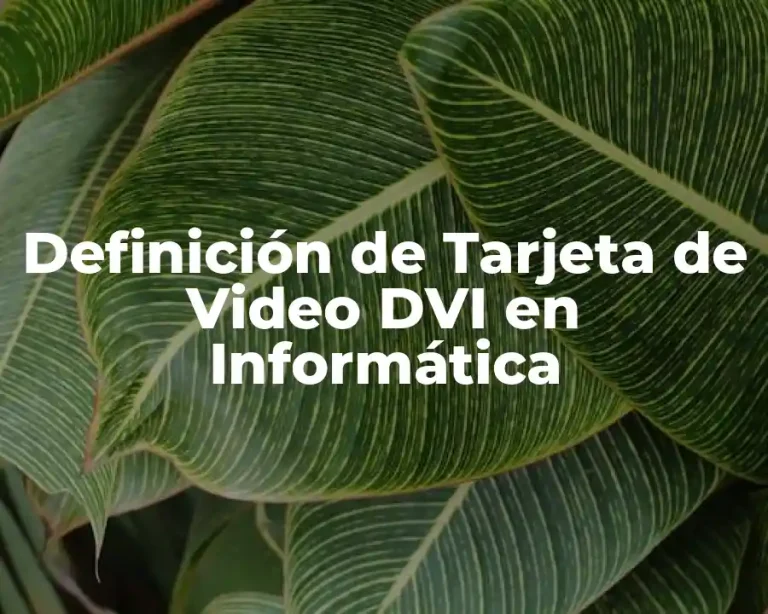 Definición de Tarjeta de Video DVI en Informática