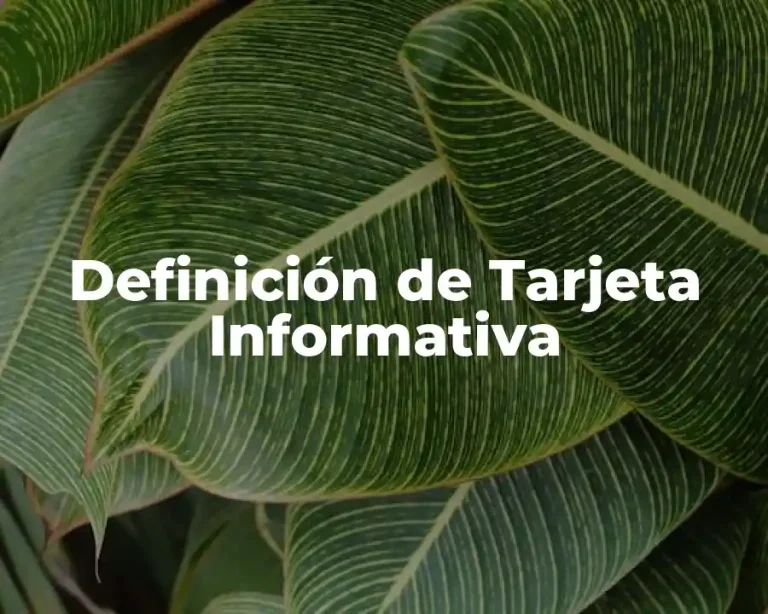 Definición de Tarjeta Informativa
