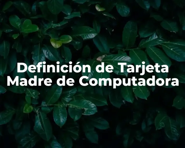 Definición de Tarjeta Madre de Computadora