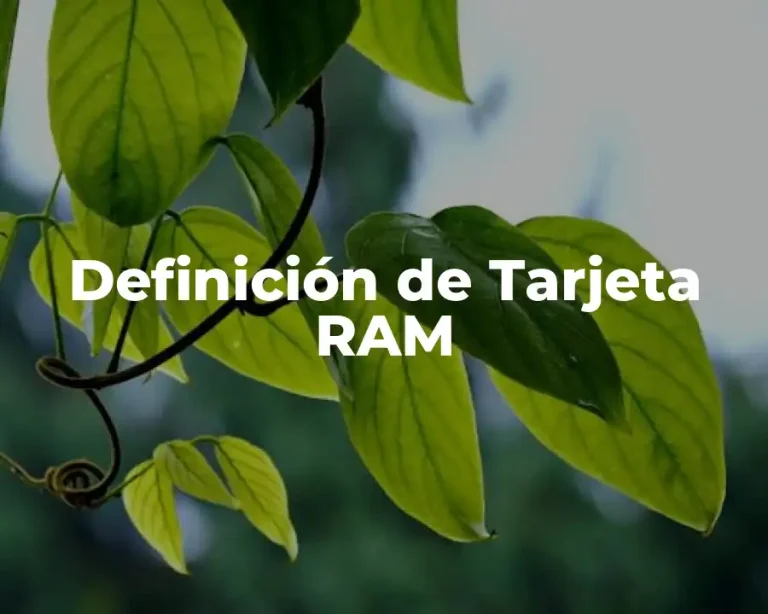 Definición de Tarjeta RAM