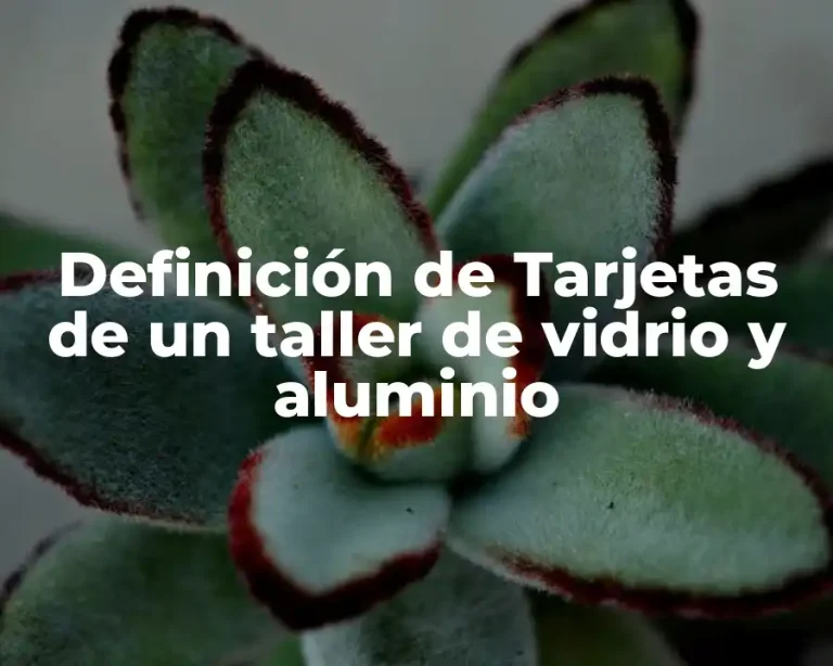 Definición de Tarjetas de un taller de vidrio y aluminio
