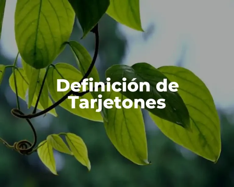 Definición de Tarjetones