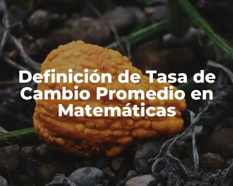 Definición de Tasa de Cambio Promedio en Matemáticas