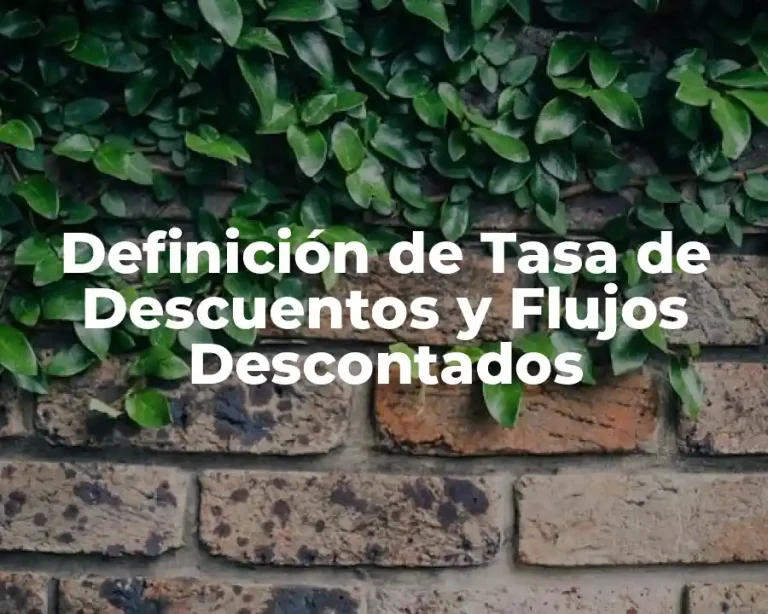 Definición de Tasa de Descuentos y Flujos Descontados