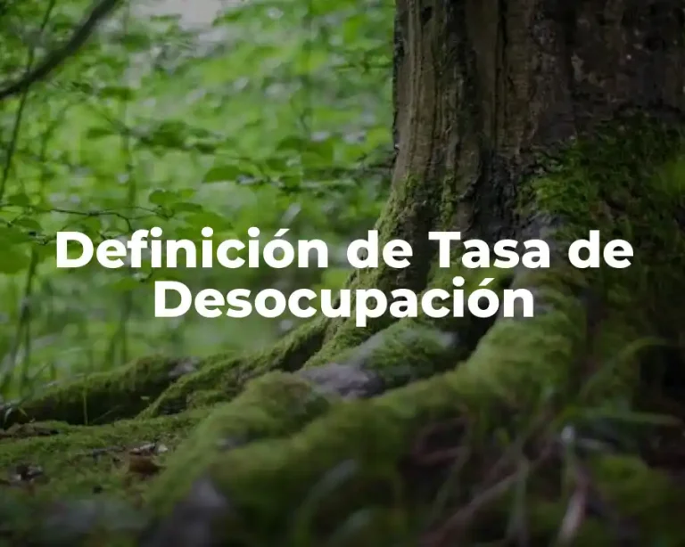 Definición de Tasa de Desocupación