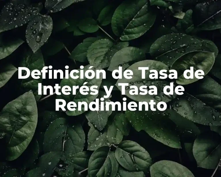 Definición de Tasa de Interés y Tasa de Rendimiento