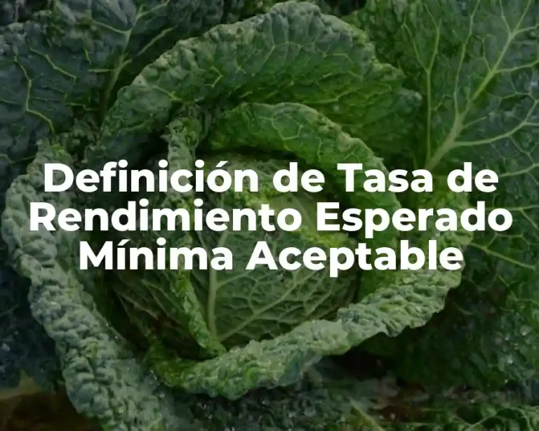 Definición de Tasa de Rendimiento Esperado Mínima Aceptable