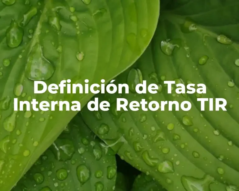 Definición de Tasa Interna de Retorno TIR