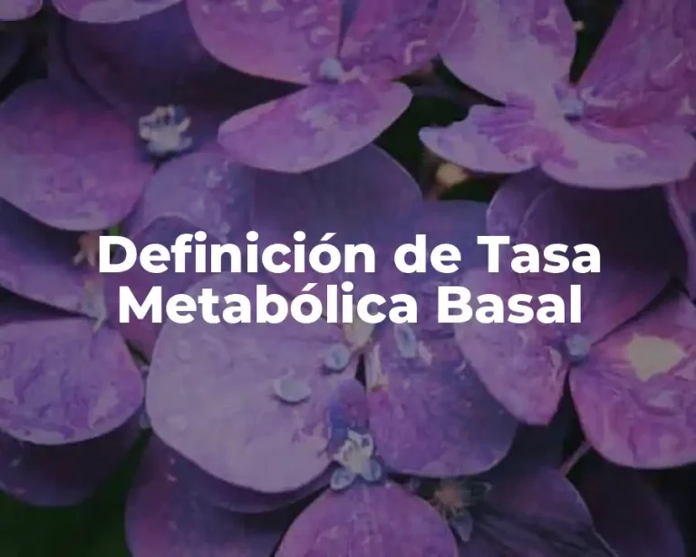 Definición de Tasa Metabólica Basal