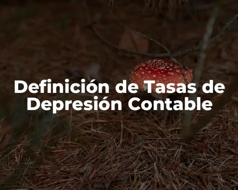 Definición de Tasas de Depresión Contable
