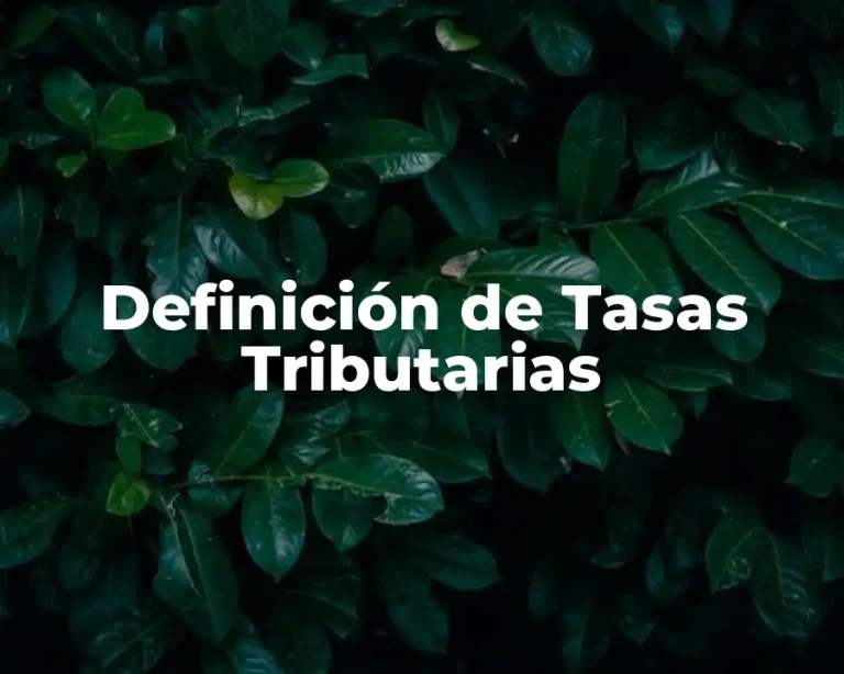 Definición de Tasas Tributarias