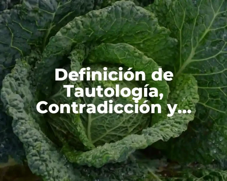 Definición de Tautología, Contradicción y Contingencia