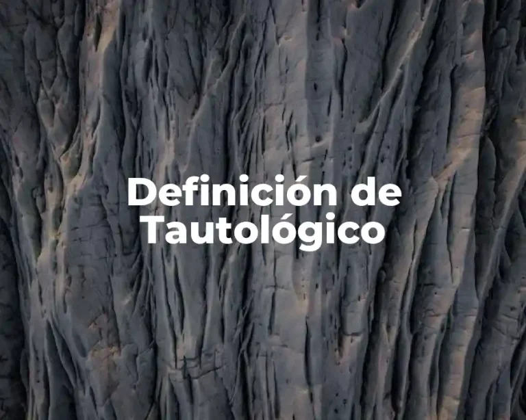Definición de Tautológico