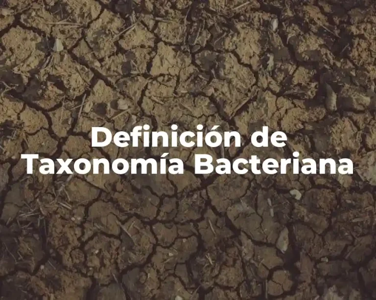 Definición de Taxonomía Bacteriana